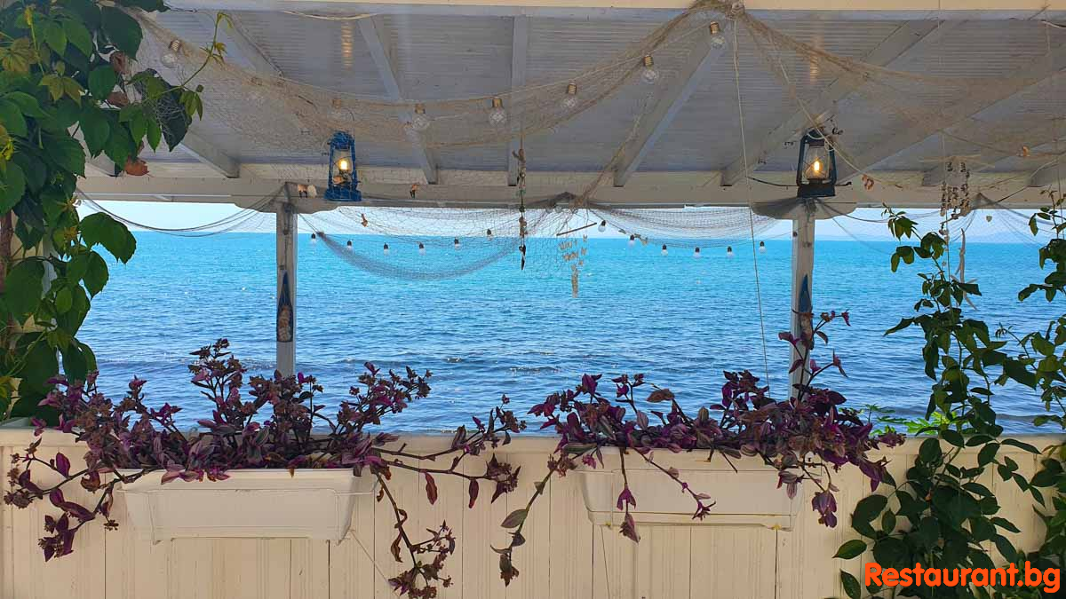 Sea Terrace