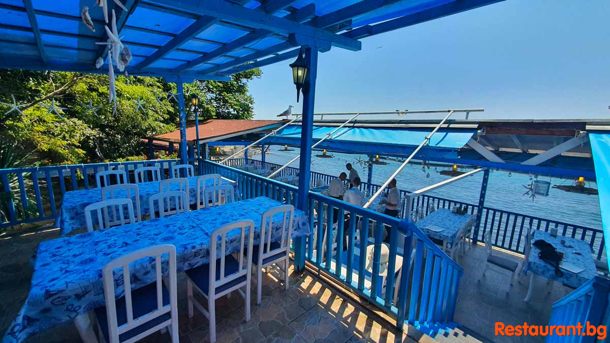 Top Terrace