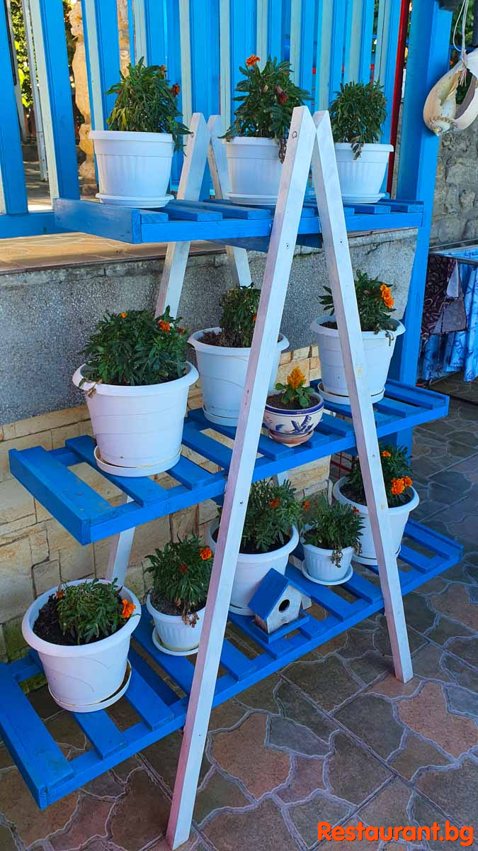 Top Terrace