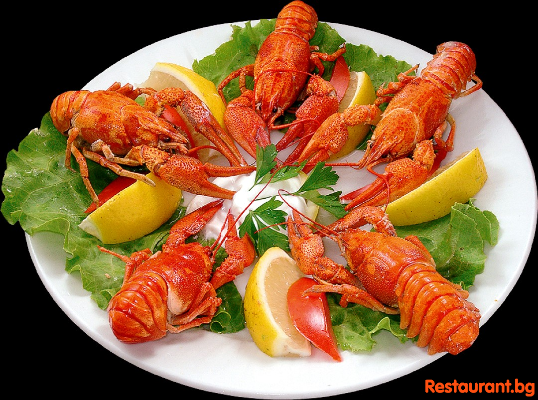 Seafood PLAKAMOTO