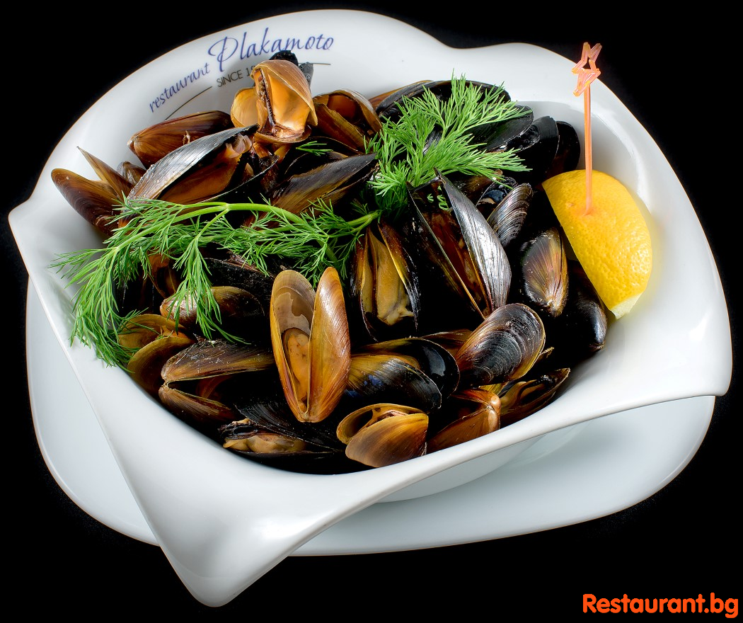 Seafood PLAKAMOTO