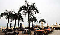 Beach Restaurant & Bar "LAZUR" Sunny Beach
