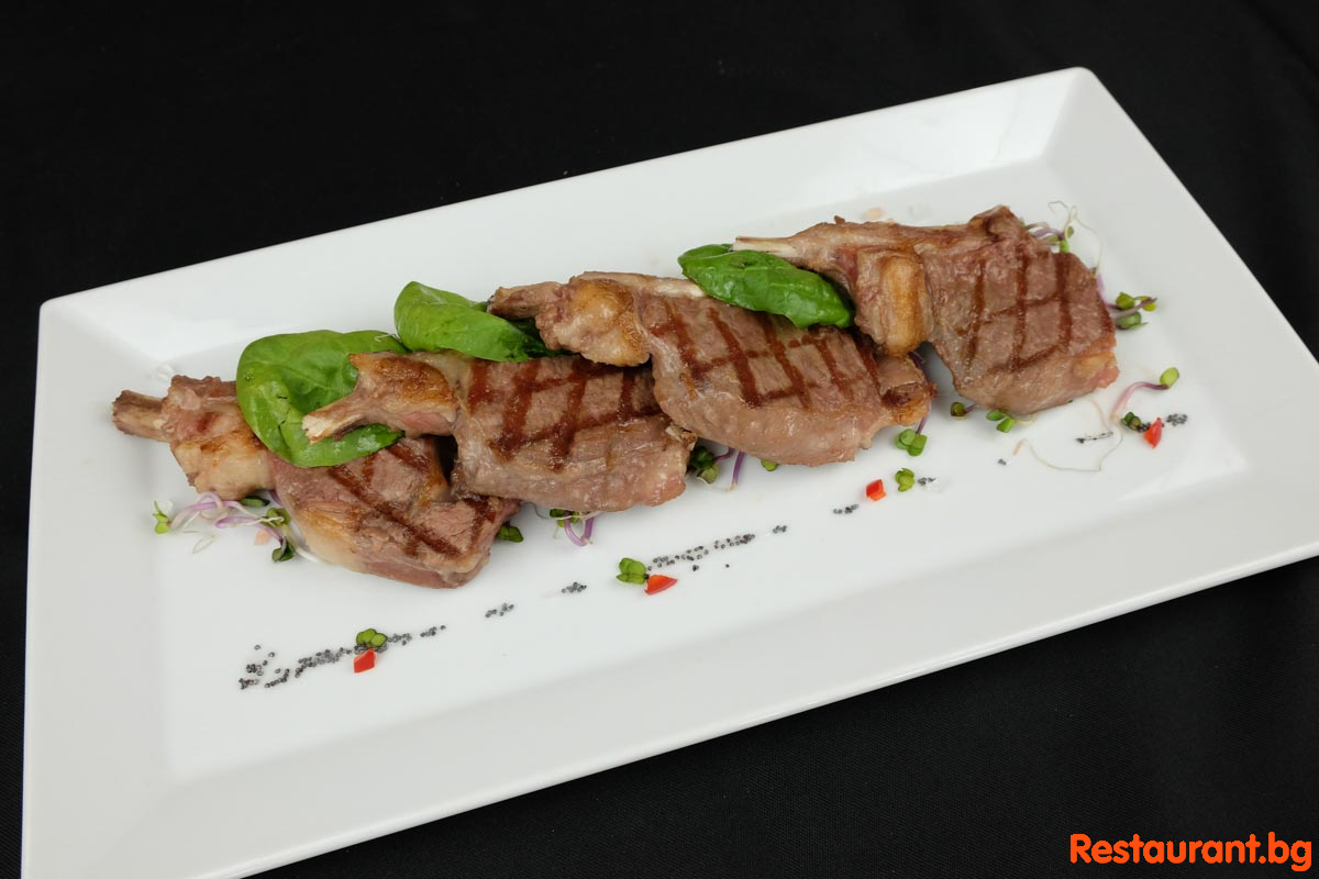 Menu TANYA