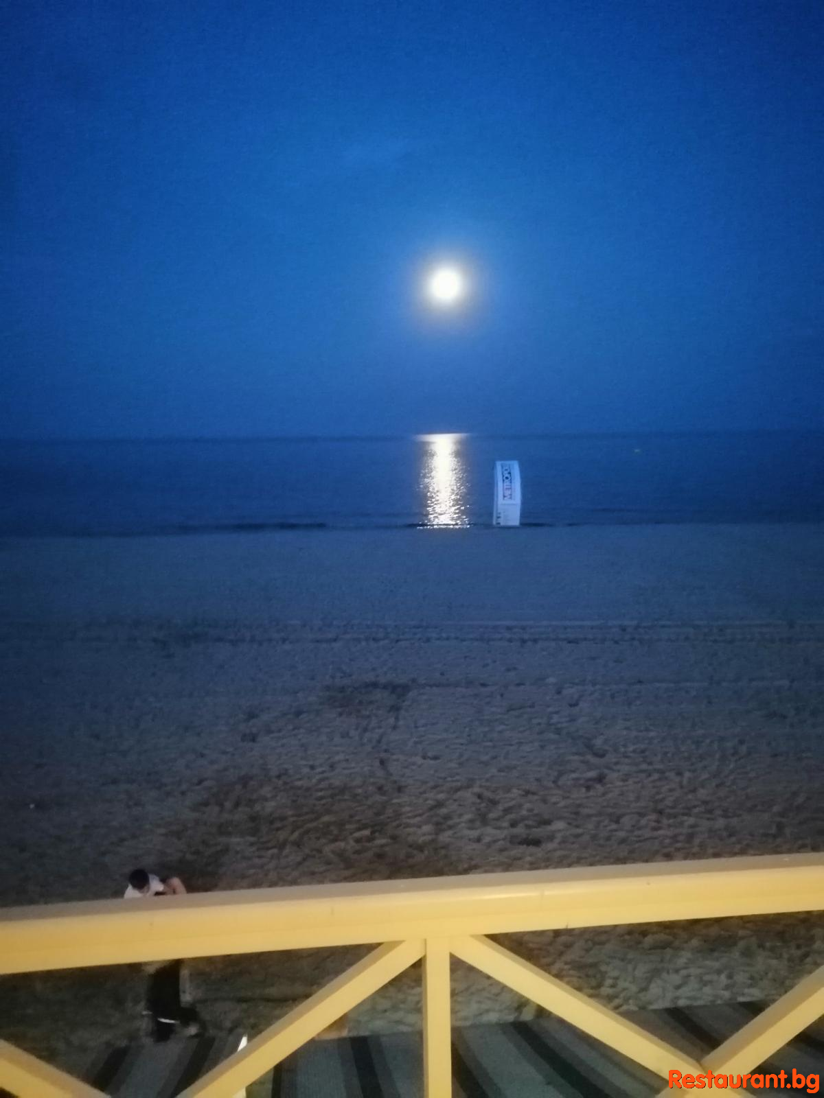 Moonlight