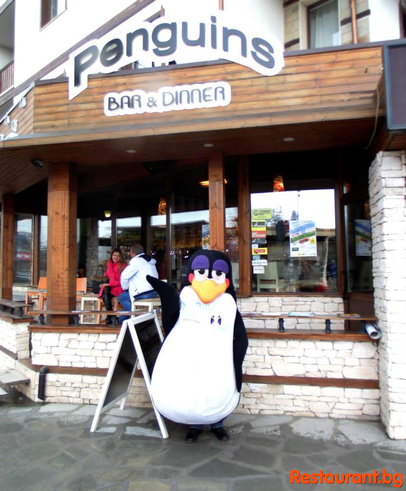 Party at THE PENGUINS Bansko
