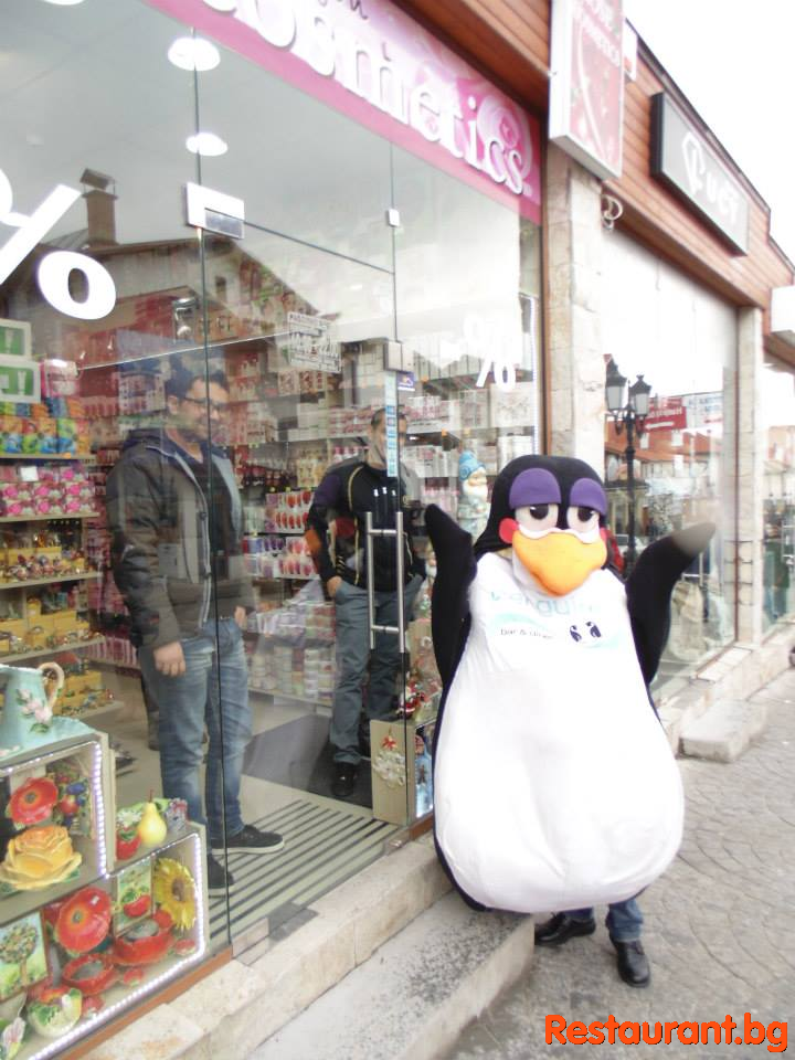 Party at THE PENGUINS Bansko