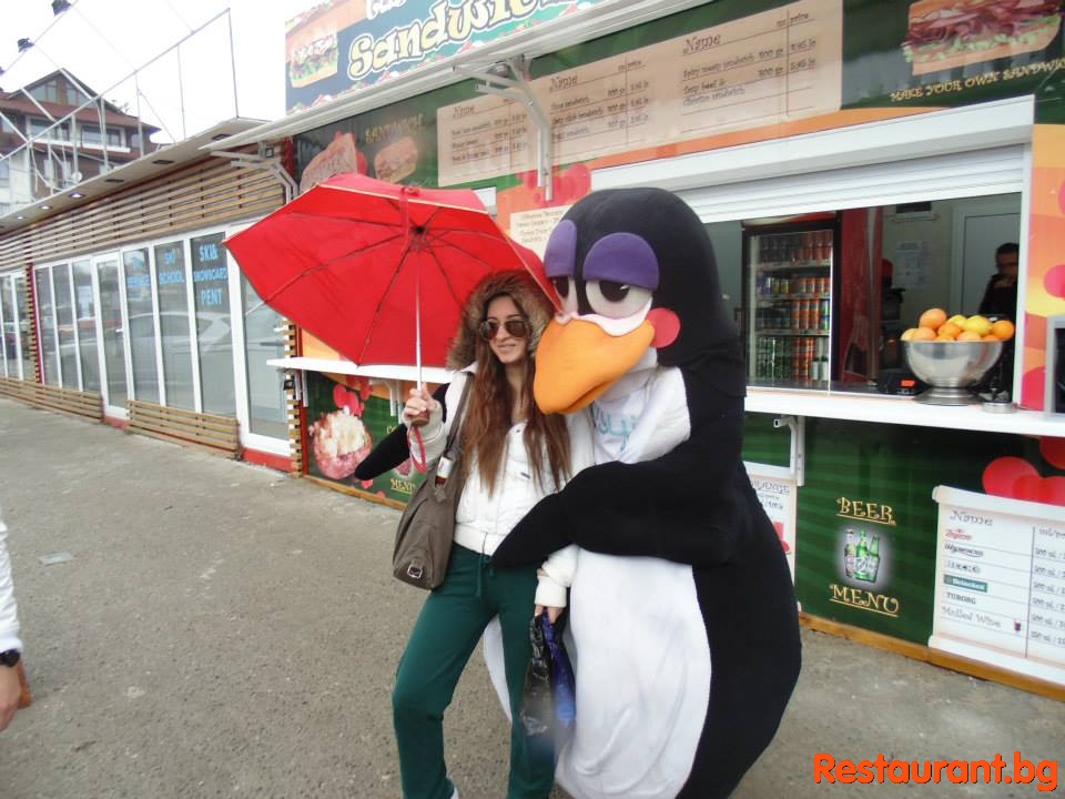 Party at THE PENGUINS Bansko
