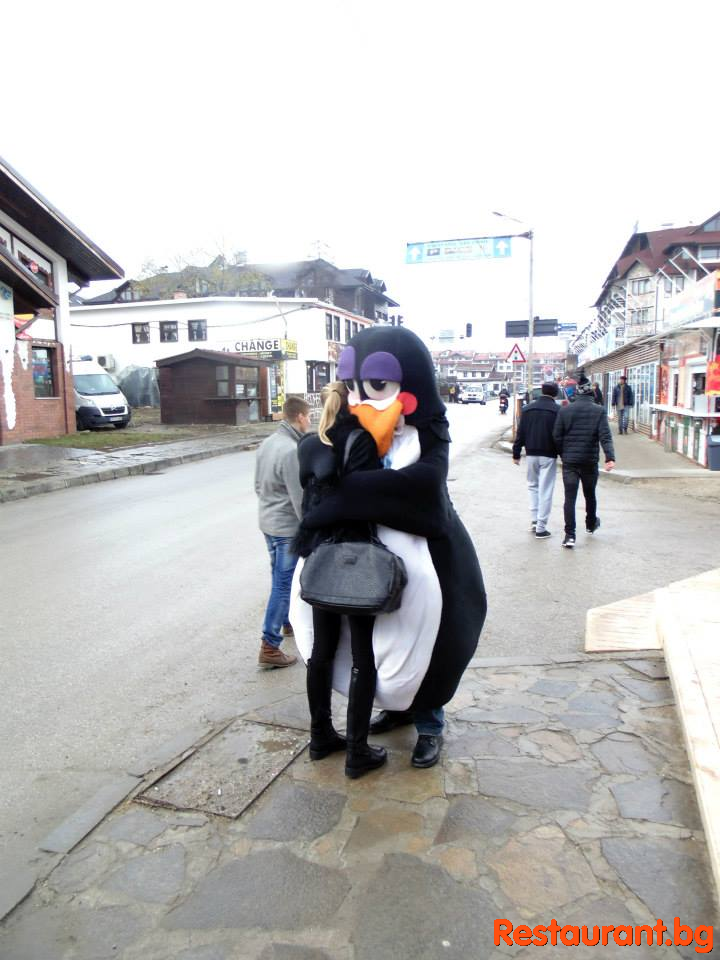 Party at THE PENGUINS Bansko