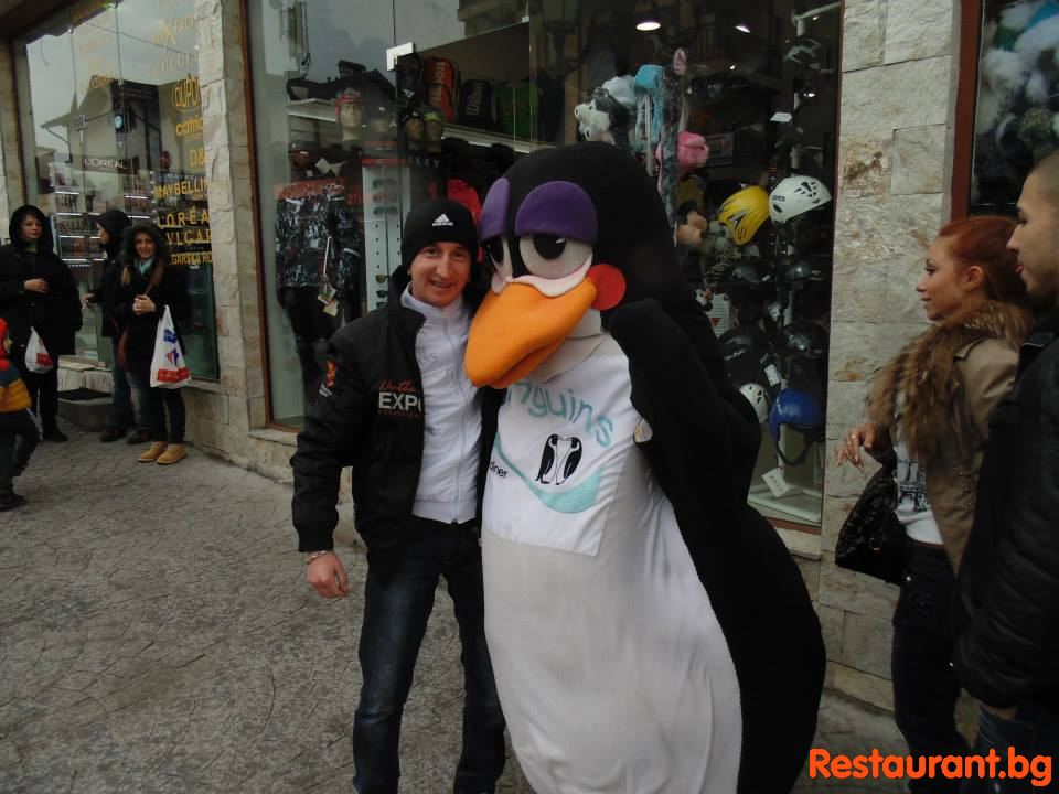Party at THE PENGUINS Bansko