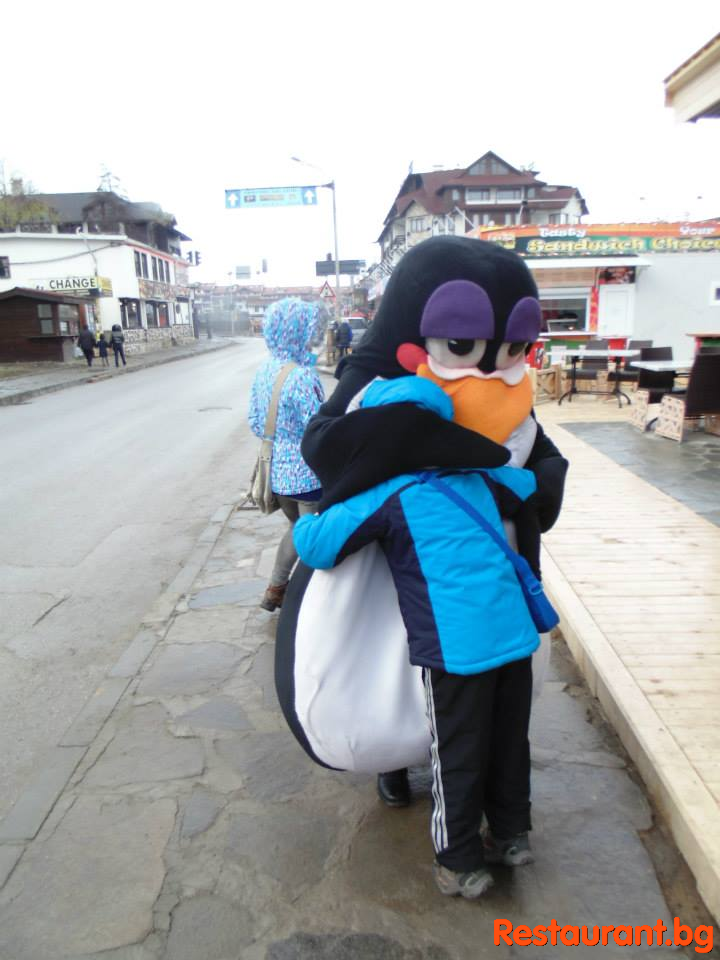 Party at THE PENGUINS Bansko