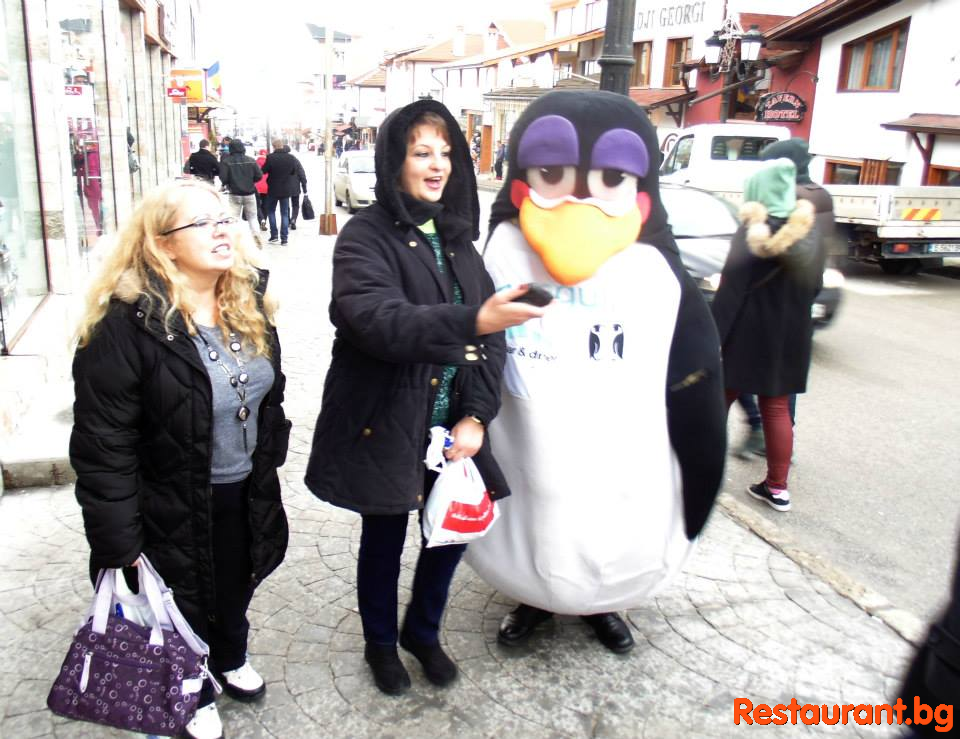 Party at THE PENGUINS Bansko
