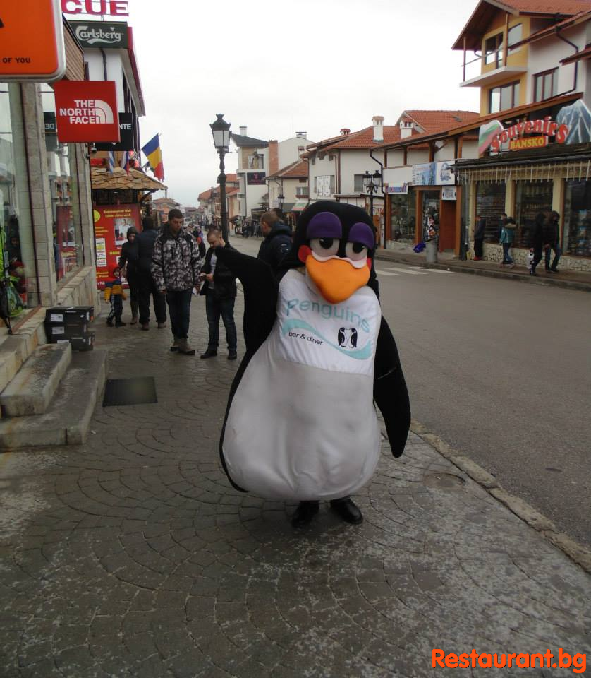 Party at THE PENGUINS Bansko