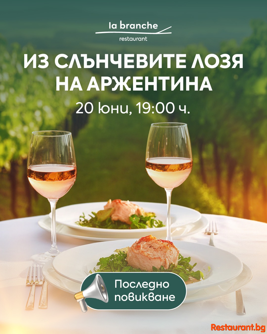 Из слънчевите лозя на Аржентина !