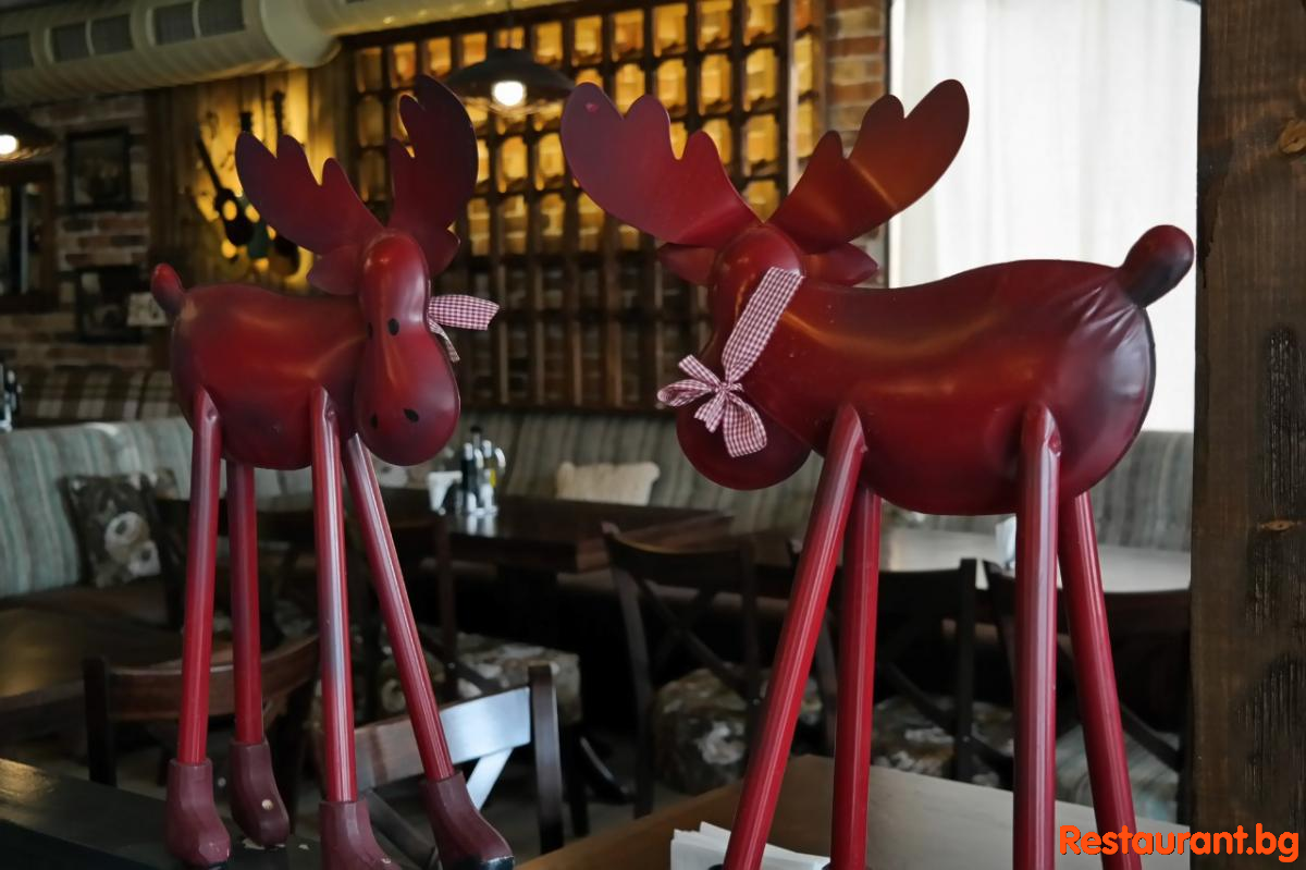 Interior THE BEARS