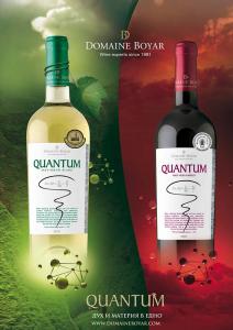 Wines  THE BEARS  Bansko