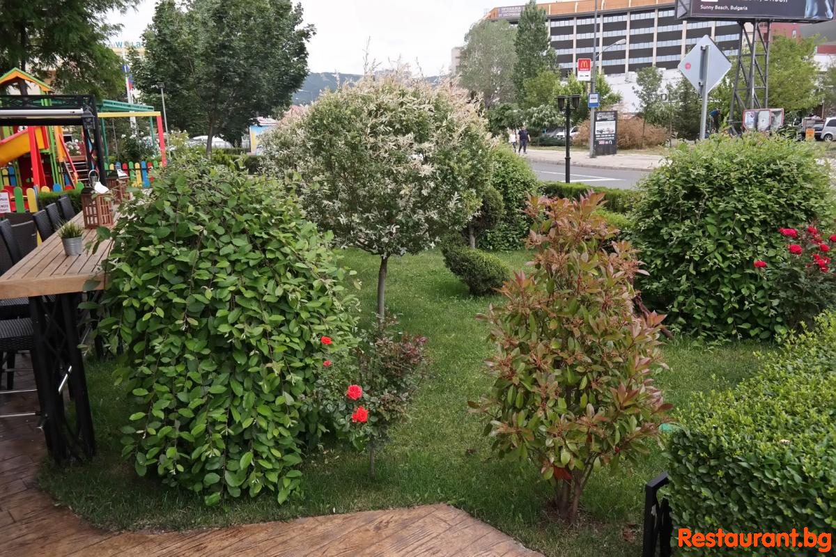 The ZERO Garden