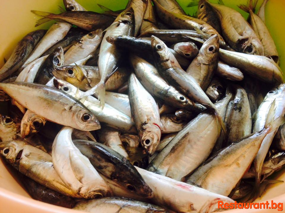 Always Fresh Food !