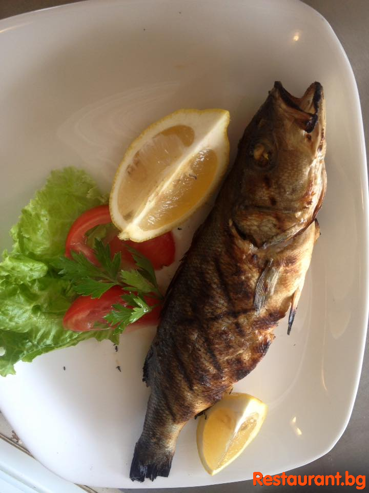 Always Fresh Food !