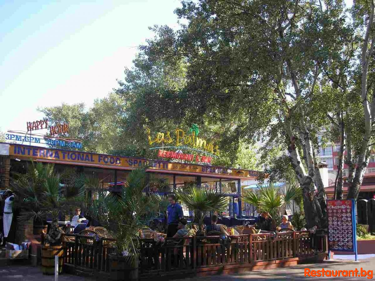 LAS PALMAS Garden