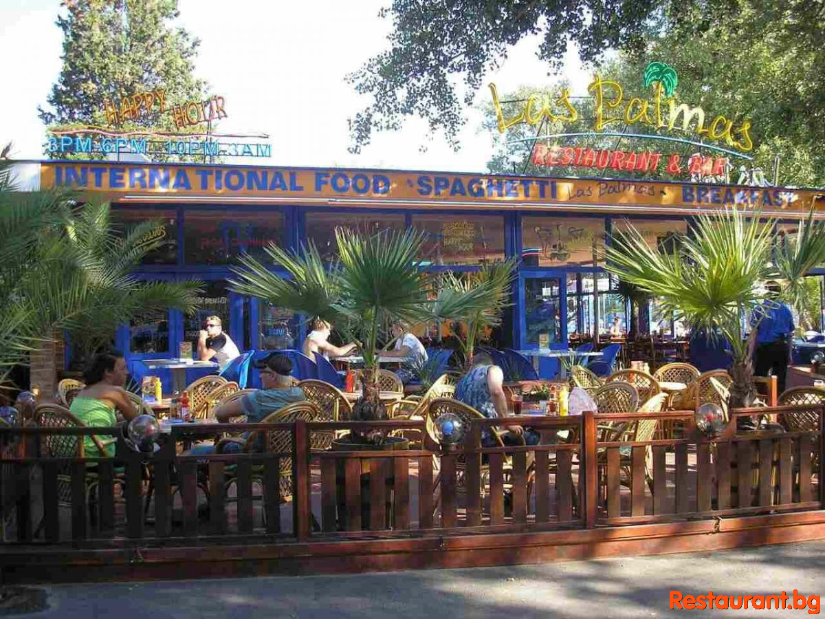 LAS PALMAS Garden