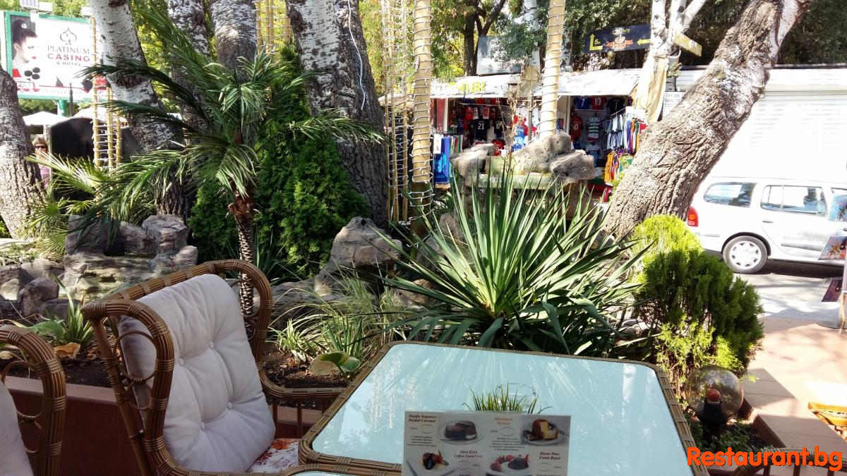 LAS PALMAS Garden