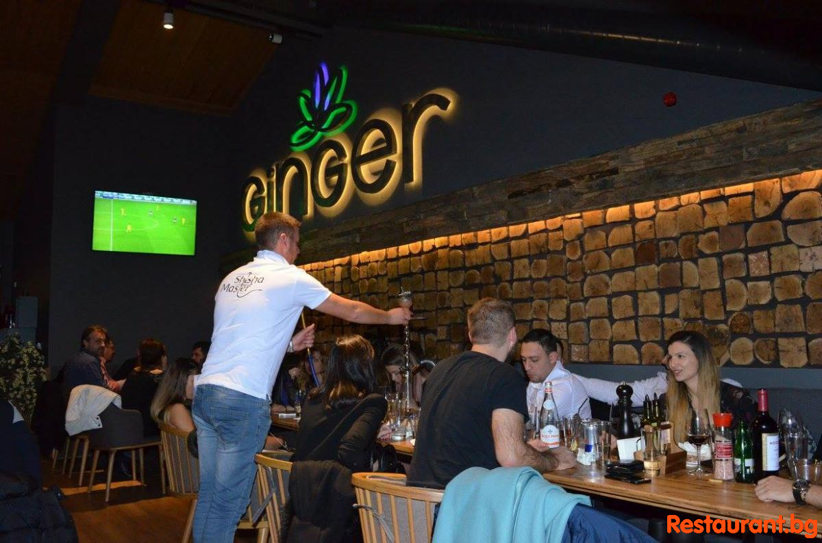 Live Music at GINGER Bansko