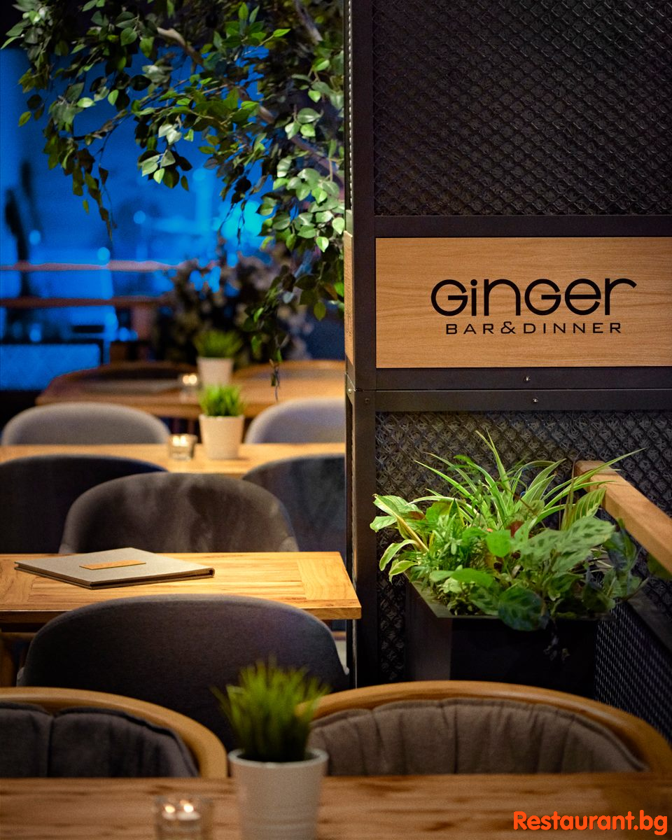 GINGER Bansko Interior