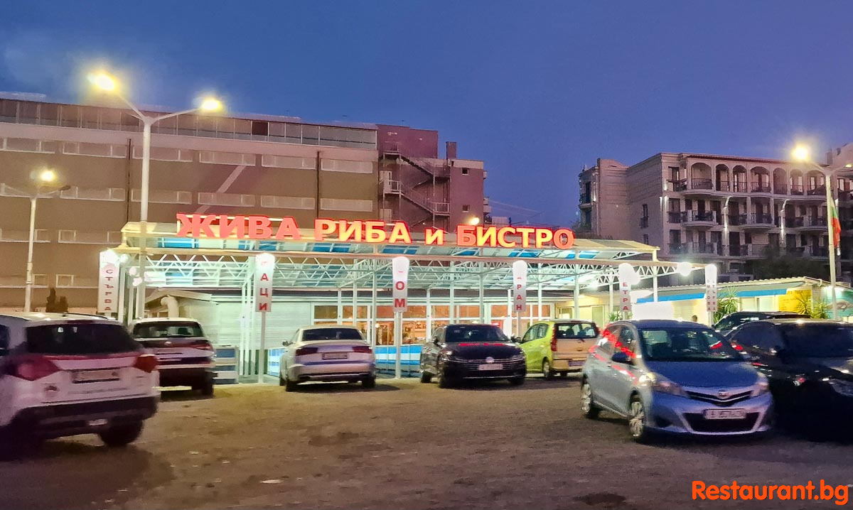 by Night