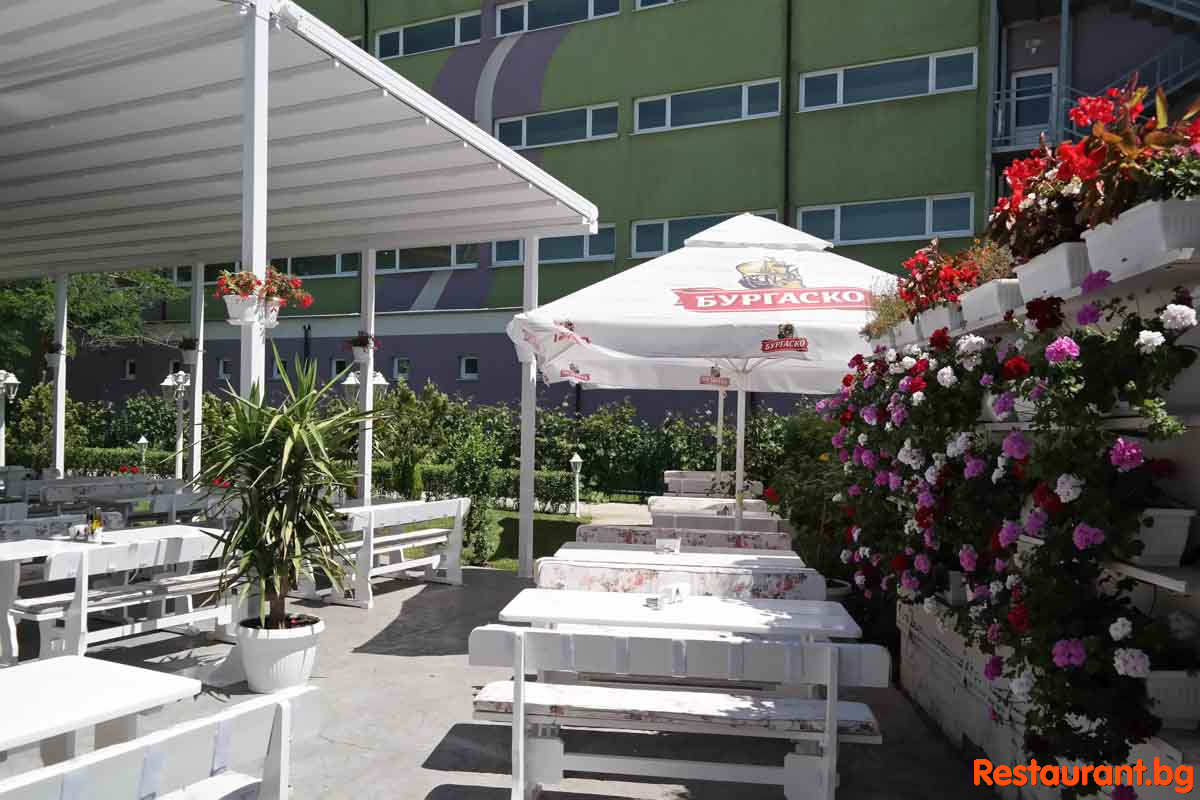 New Summer Garden 2020