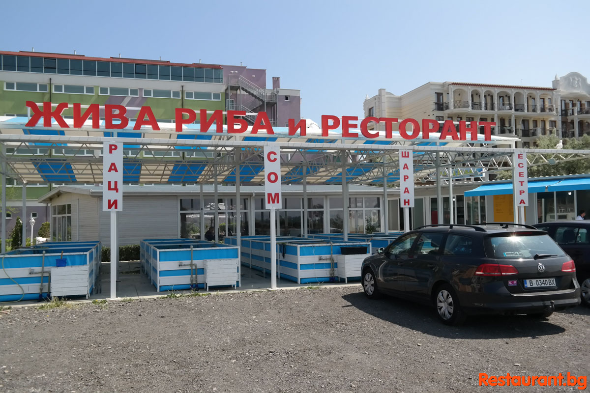 Лятна магия