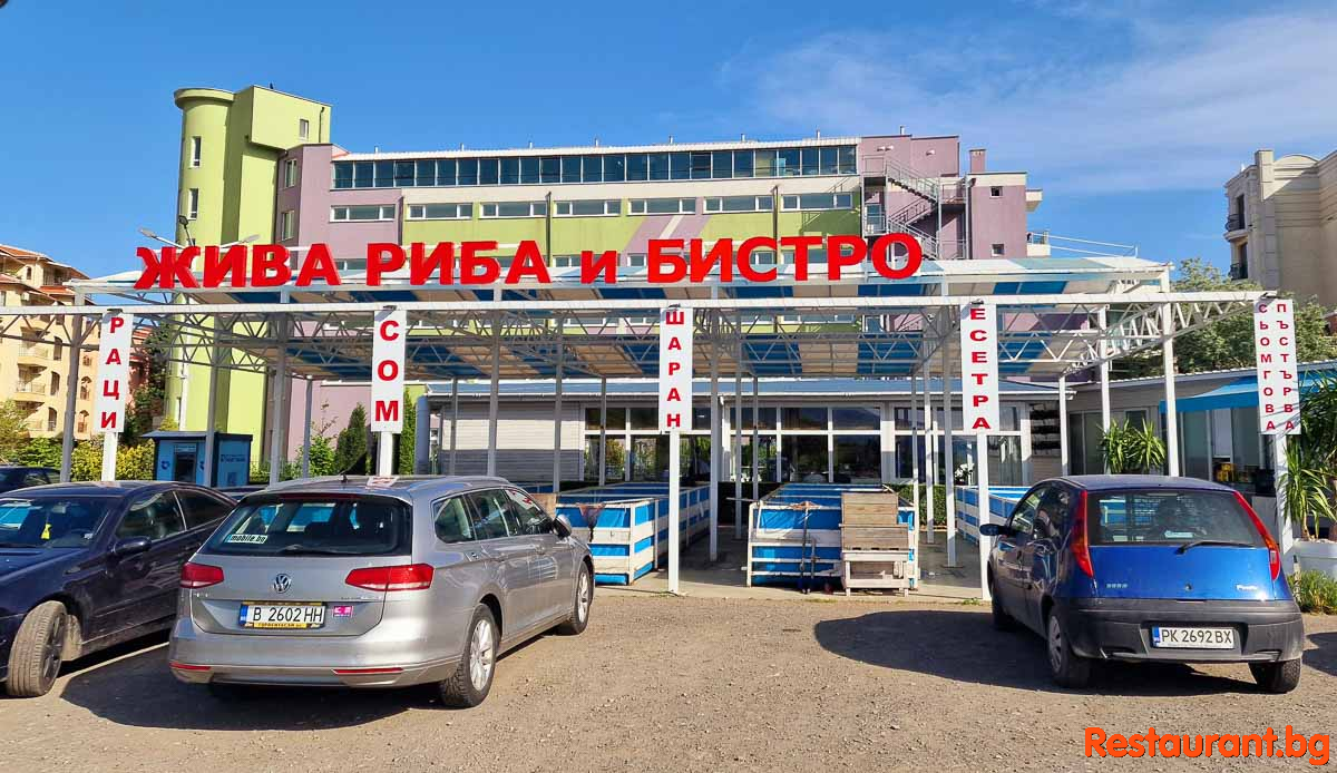 Лято 2024
