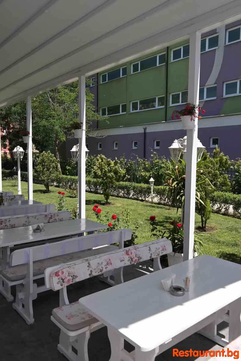 New Summer Garden 2020