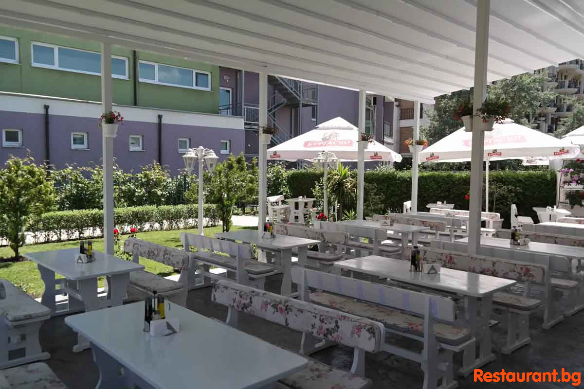 New Summer Garden 2020
