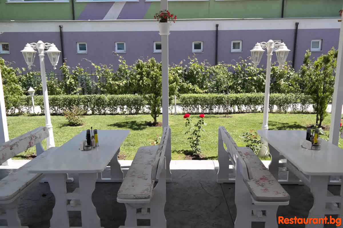 New Summer Garden 2020