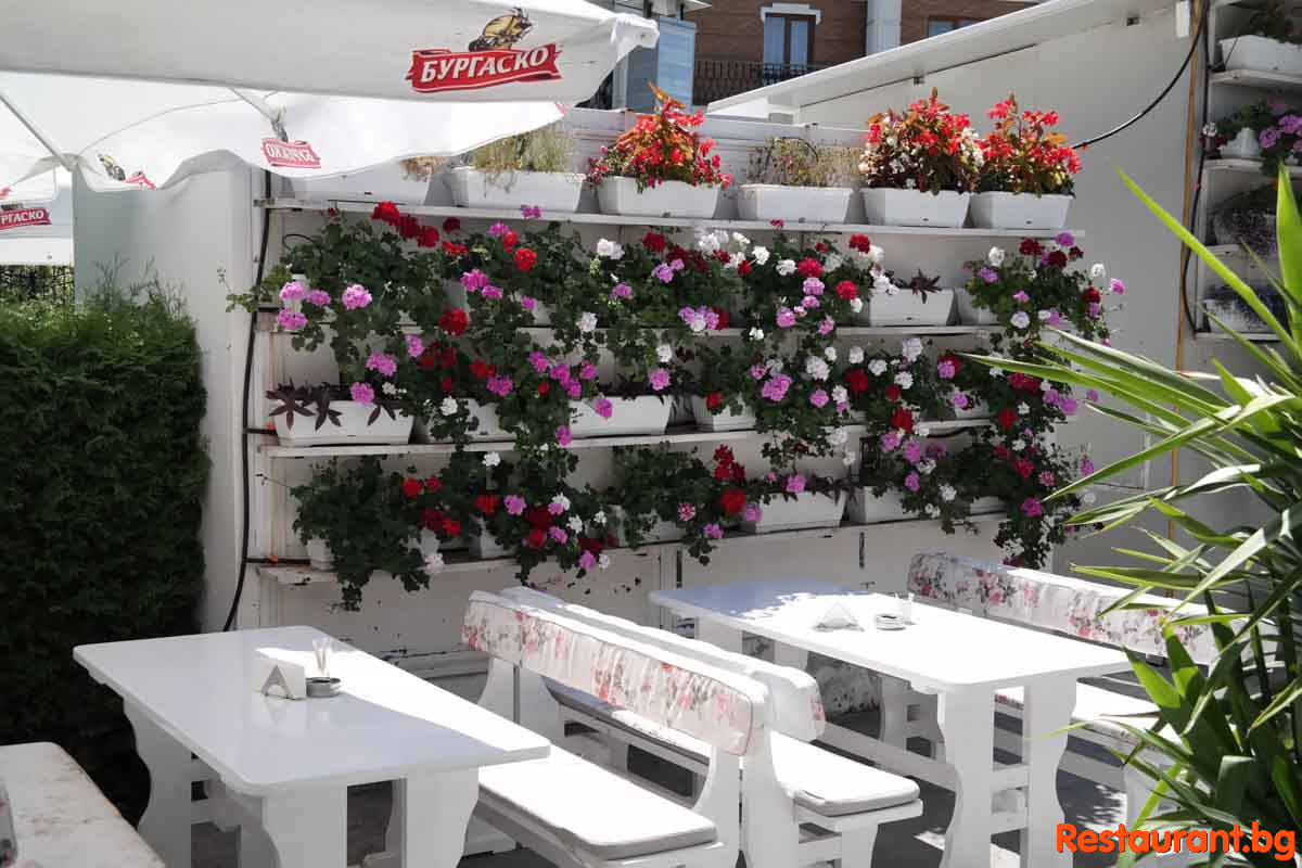New Summer Garden 2020