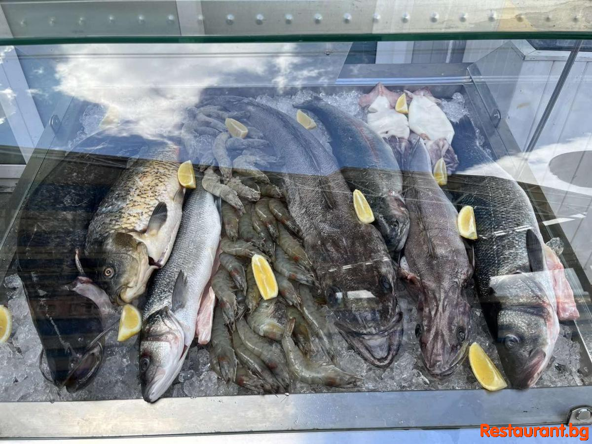 Always Fresh Fish !