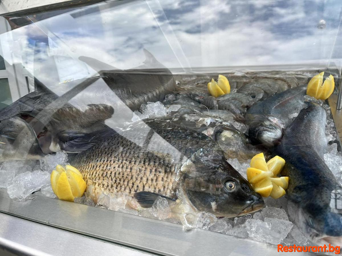 Always Fresh Fish !