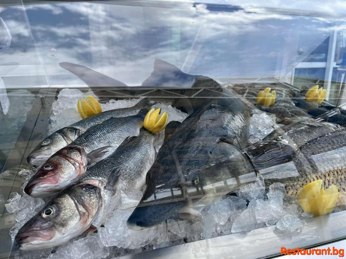 Always Fresh Fish !
