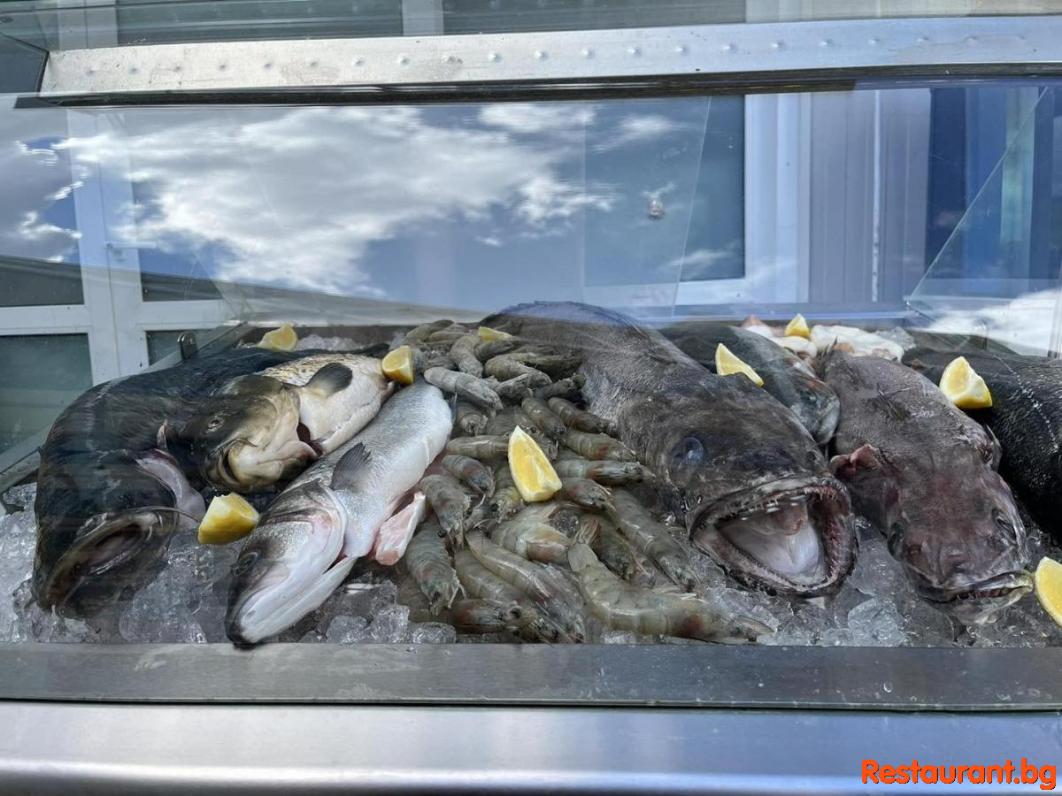 Always Fresh Fish !