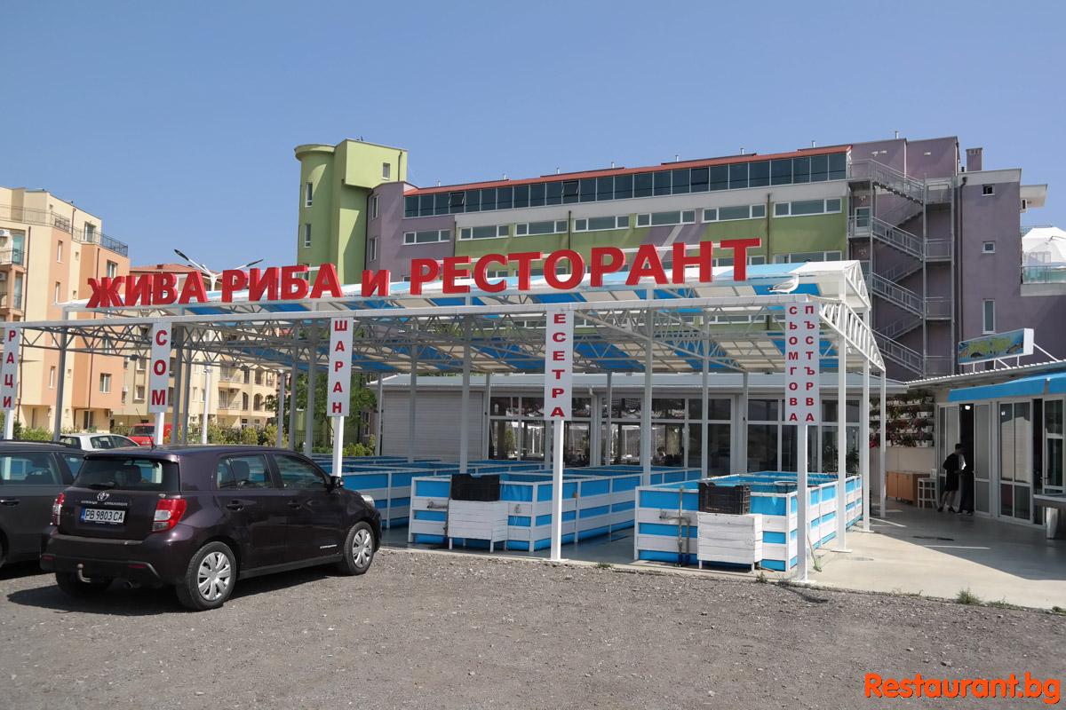 Лятна магия