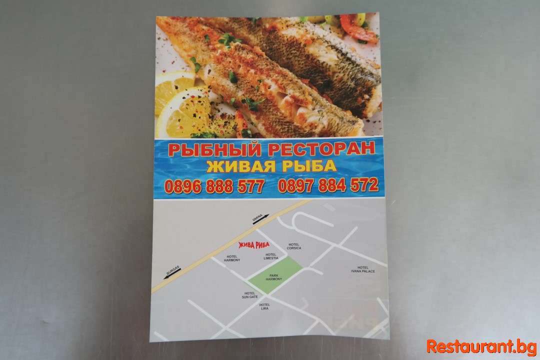 Жива Риба "РИБЕН РЕСТОРАНТ" Слънчев Бряг 