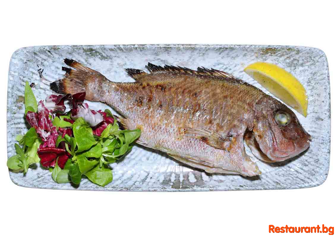 Great Food