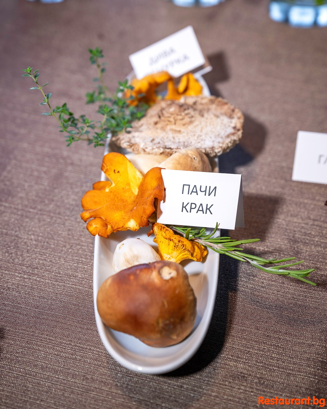 Chef Нези