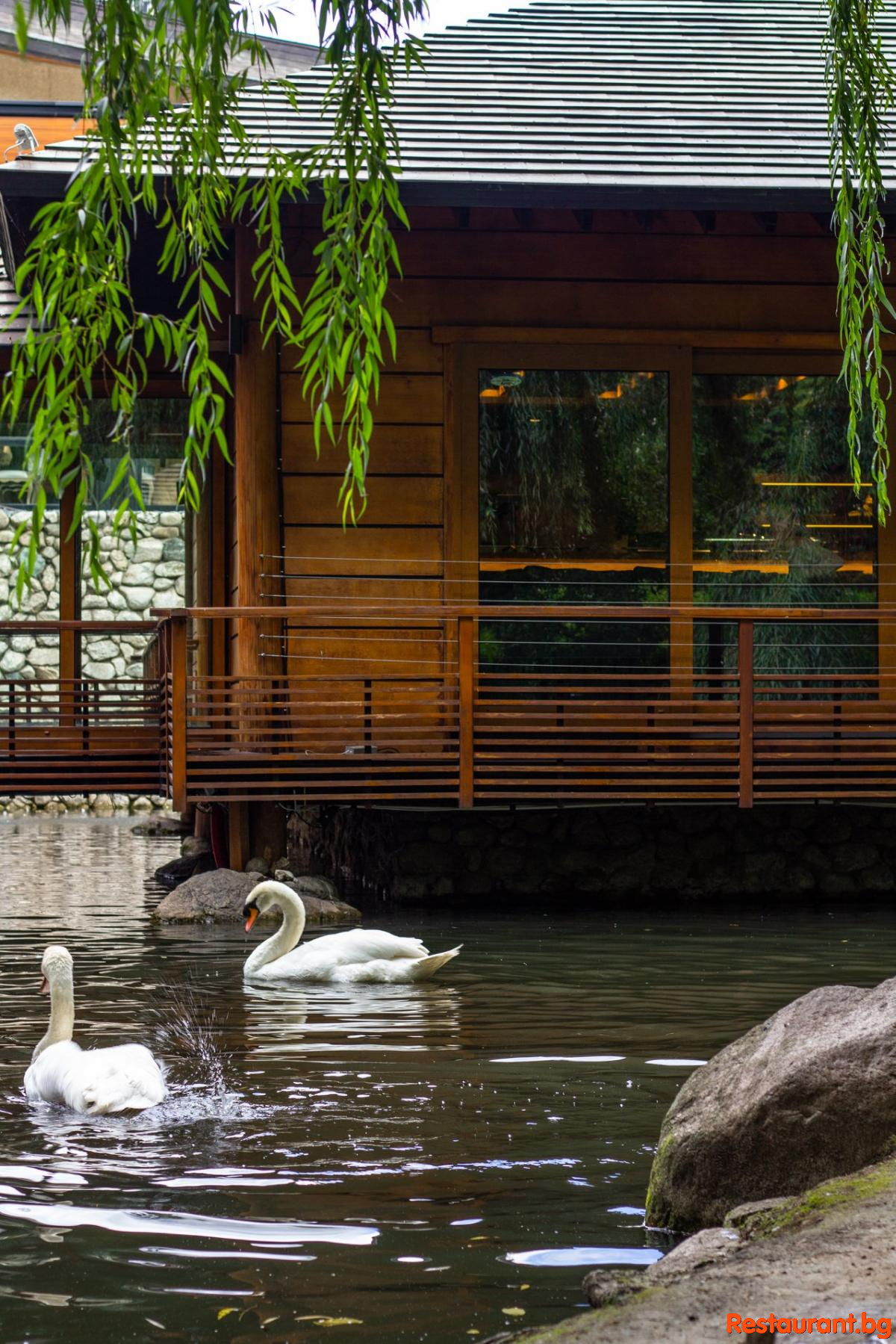 The most beautiful Garden in Sofia!