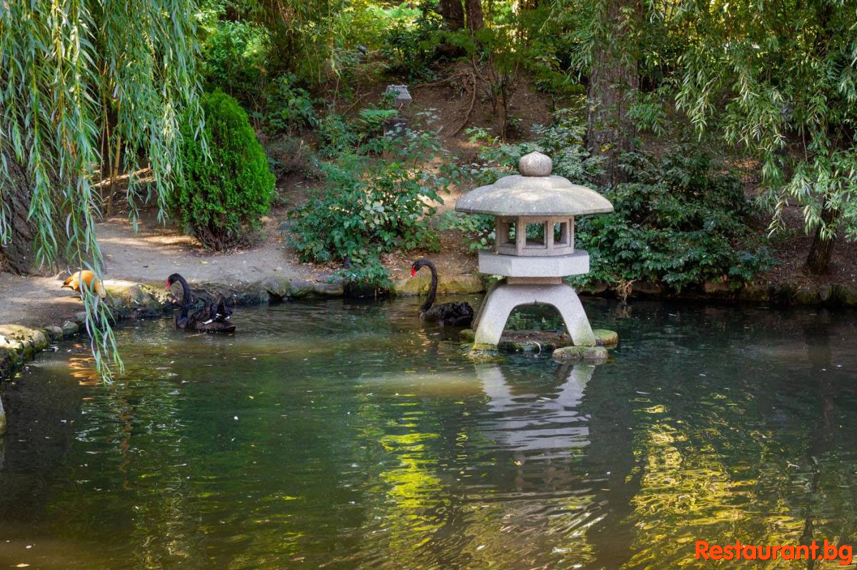The most beautiful Garden in Sofia!