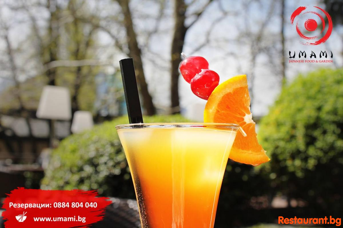 Cocktails & Drinks