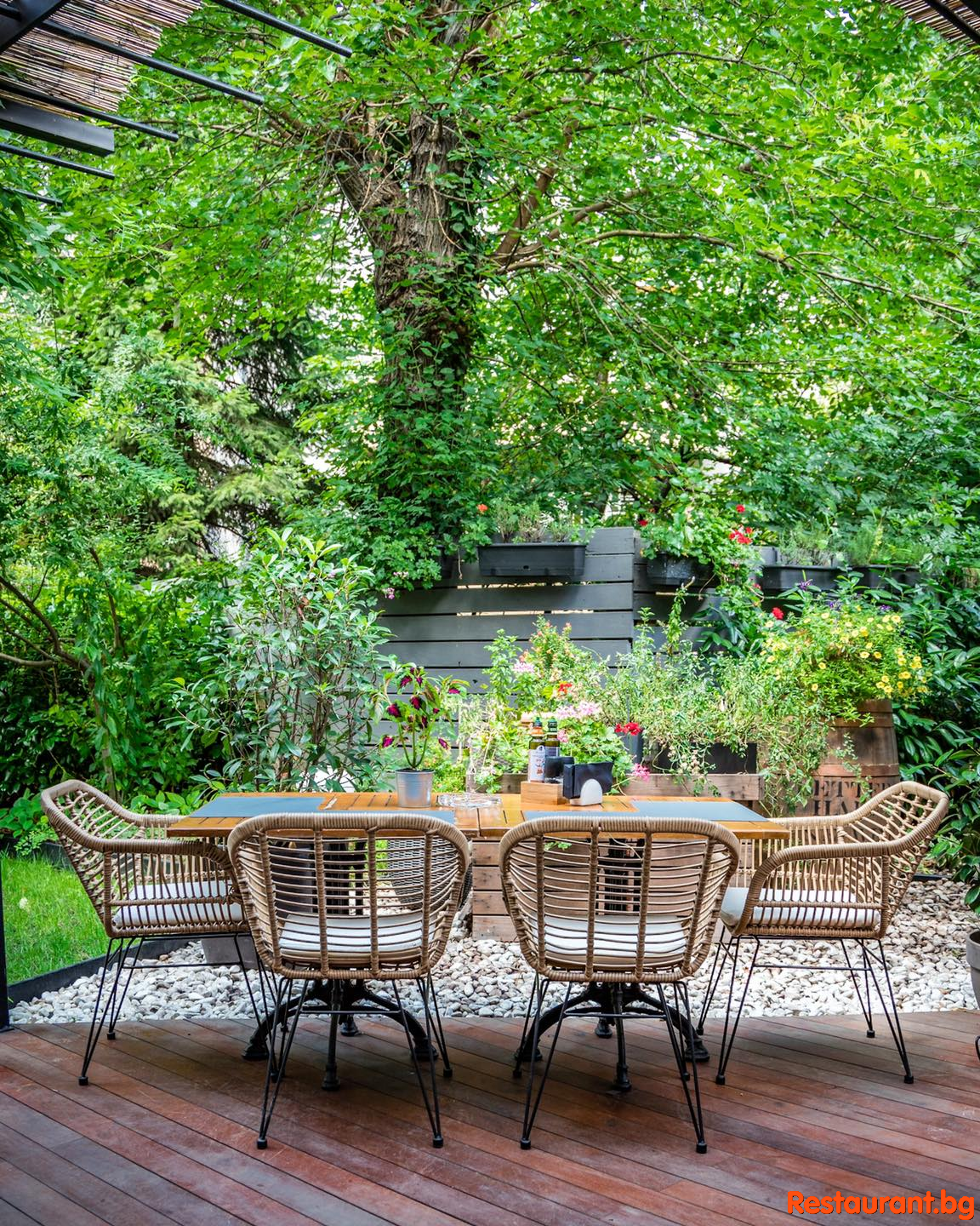 Garden NOAH +359