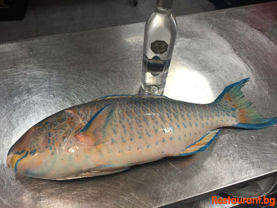 Fresh Fish !