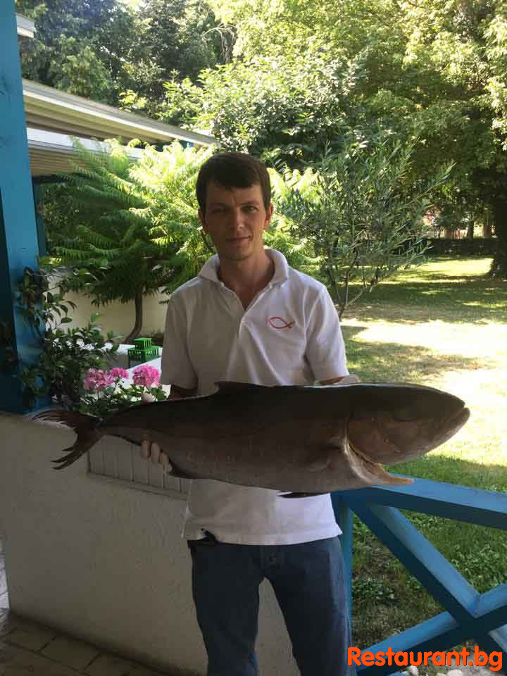Fresh Fish !