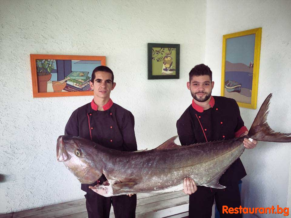 Fresh Fish !